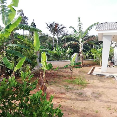 Samsiah Guest House - Taman Yayasan Segamat Buloh Kasap Exteriér fotografie